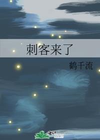 刺客来了